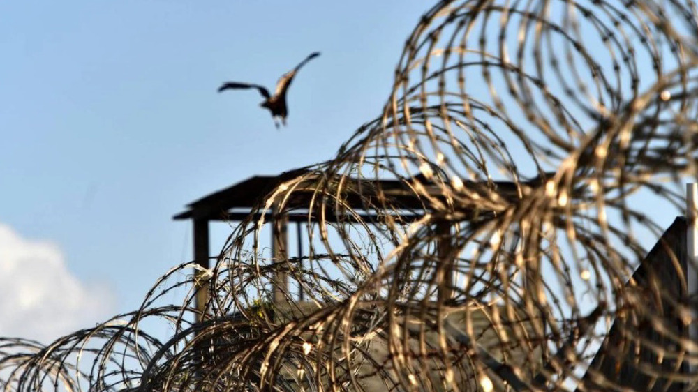 ‘Just kill them’: New book reveals shocking details about CIA's torture program