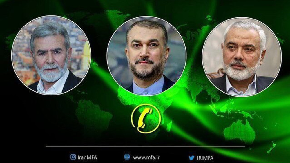 Iran FM reaffirms support for Palestine, urges immediate end to Israeli genocide