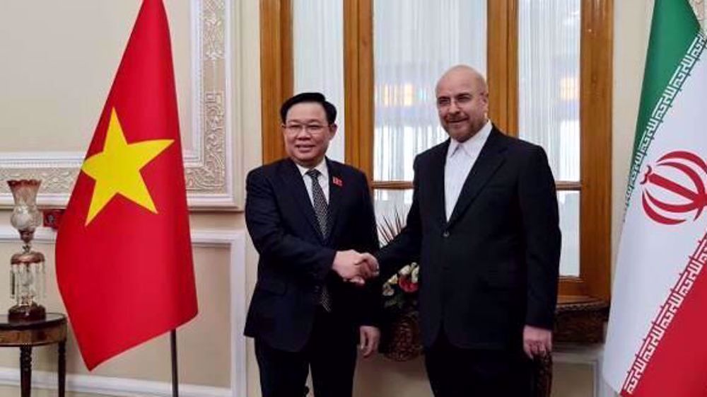 Iran, Vietnam to further strengthen cooperation: Parliament speaker  