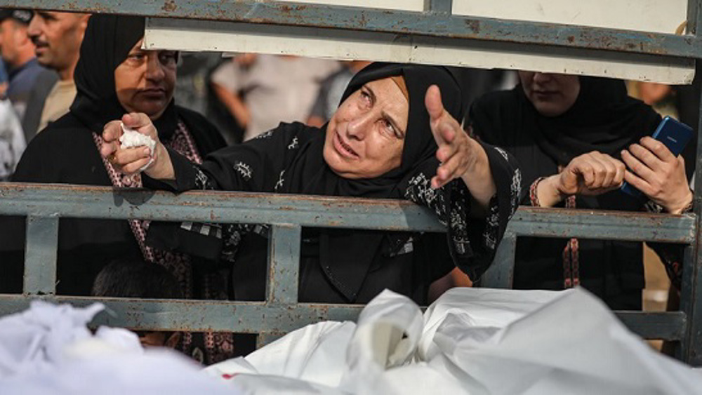 Gaza humanitarian catastrophe