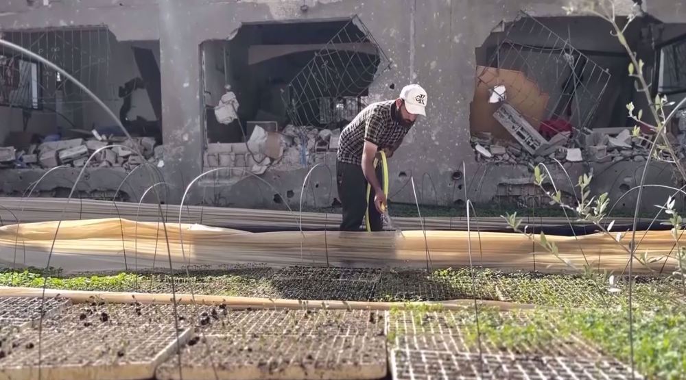 UN warns Gaza’s agricultural infrastructure deteriorating at alarming rate